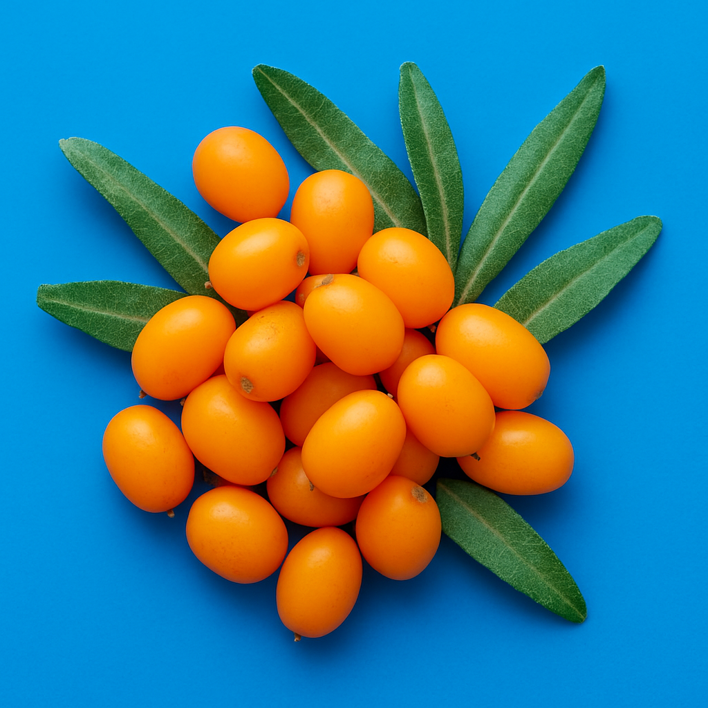 Sea Buckthorn Oil image